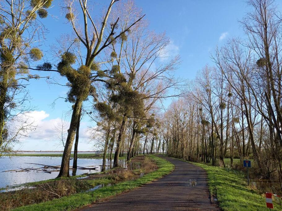 Lac Grand Lieu : Maisonnette Au Calme Avec Jardin Saint-Lumine-de-Coutais Exteriér fotografie
