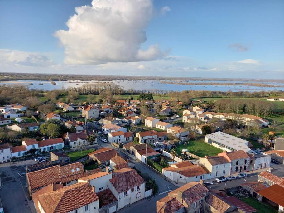 Lac Grand Lieu : Maisonnette Au Calme Avec Jardin Saint-Lumine-de-Coutais Exteriér fotografie